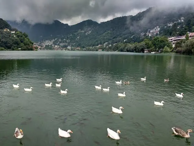 Nainital Lake surrounded by lush green hills