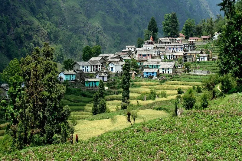 Scenic pine forests and mountain meadows of Ranikhet